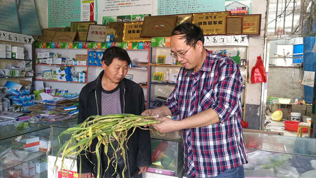 【走基层】走进山东兰陵 农药零售行业亟待规范与培训