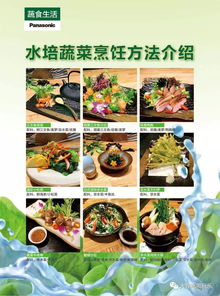 水培蔬菜面市，无农药无污染赢得用户赞誉